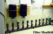 Filter Manifold