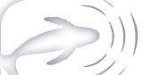 Scripps Whale Acoustics Lab Logo